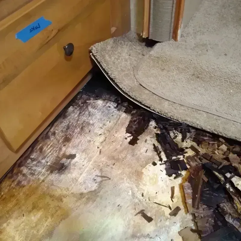 Wood Floor Water Damage in Holmes County, MS